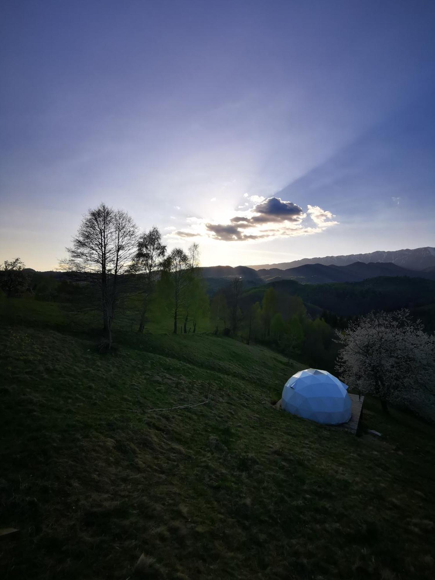Glamping Zazen Hotel Drumu Carului Bagian luar foto
