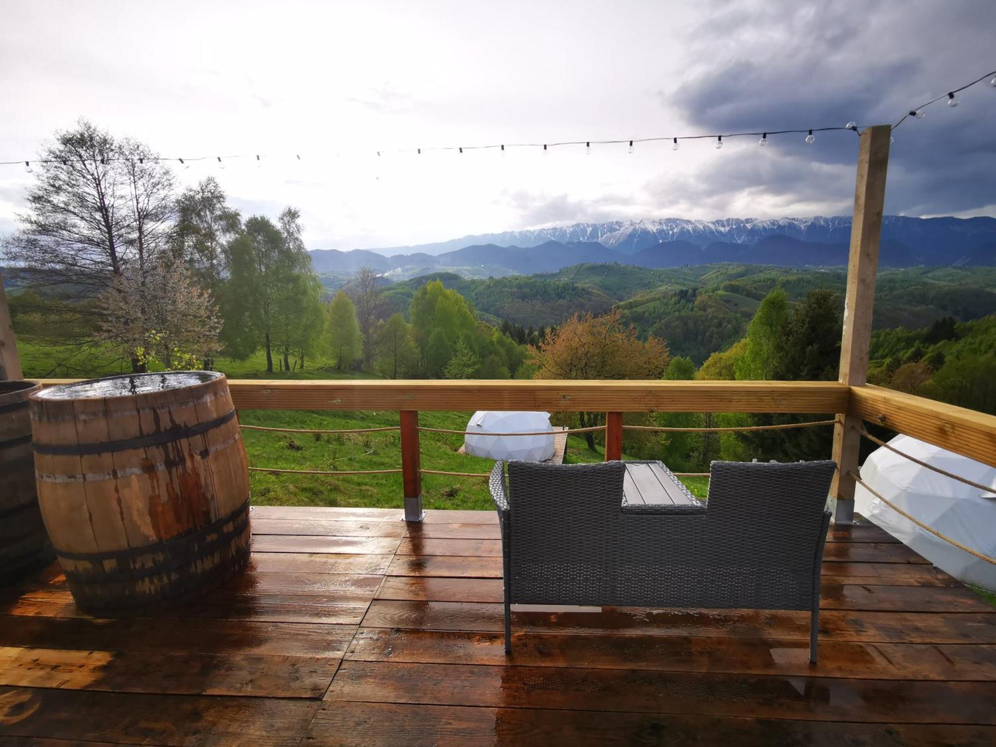 Glamping Zazen Hotel Drumu Carului Bagian luar foto