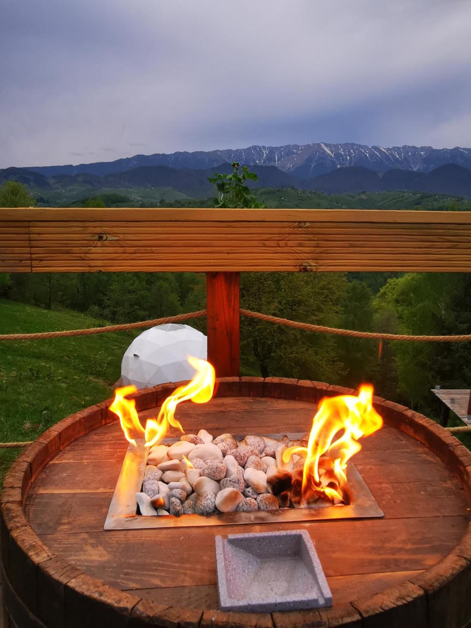 Glamping Zazen Hotel Drumu Carului Bagian luar foto