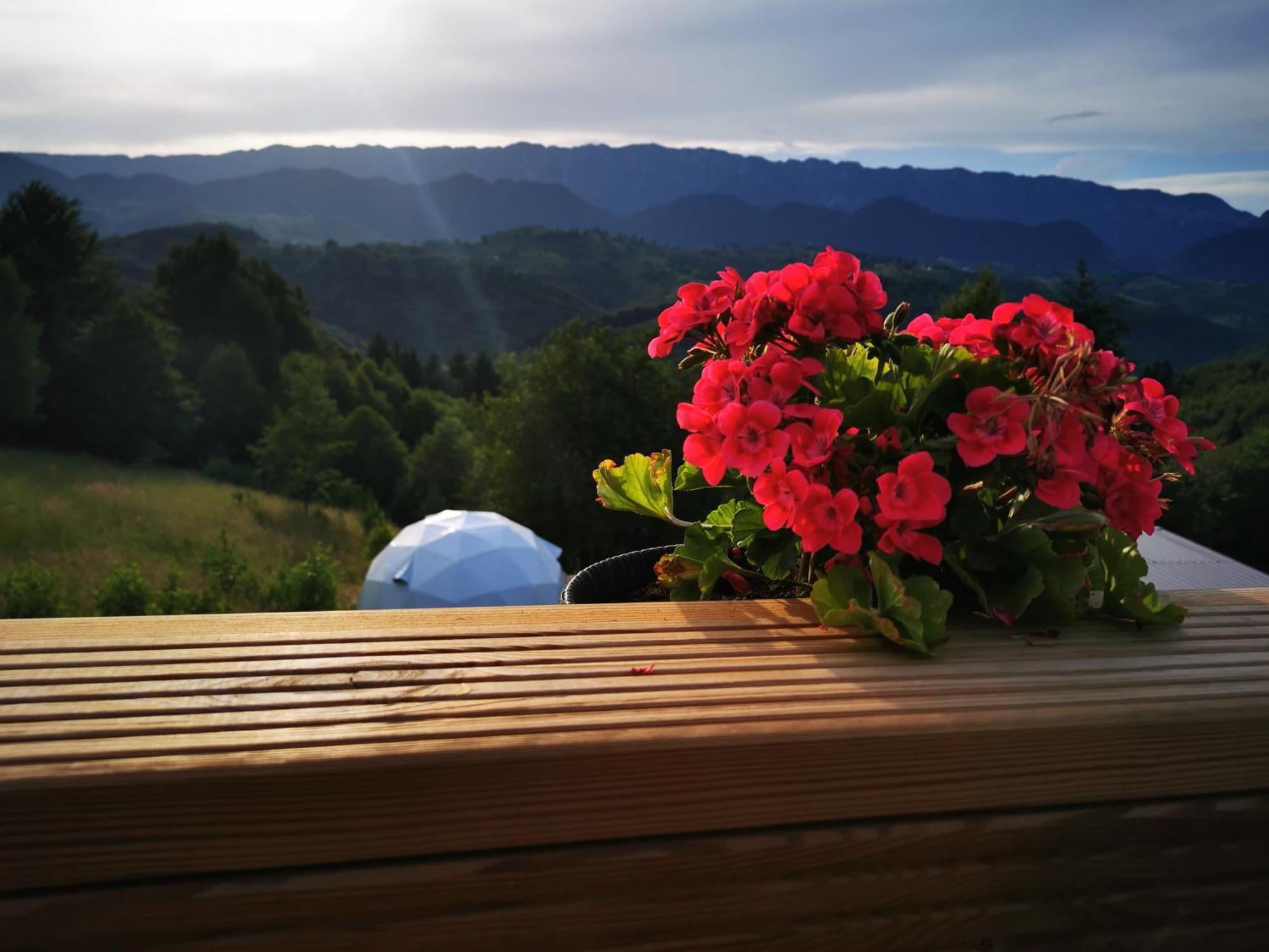 Glamping Zazen Hotel Drumu Carului Bagian luar foto