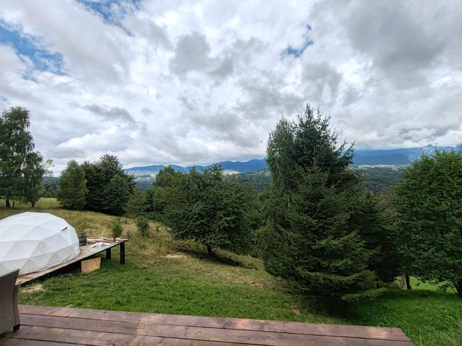 Glamping Zazen Hotel Drumu Carului Bagian luar foto